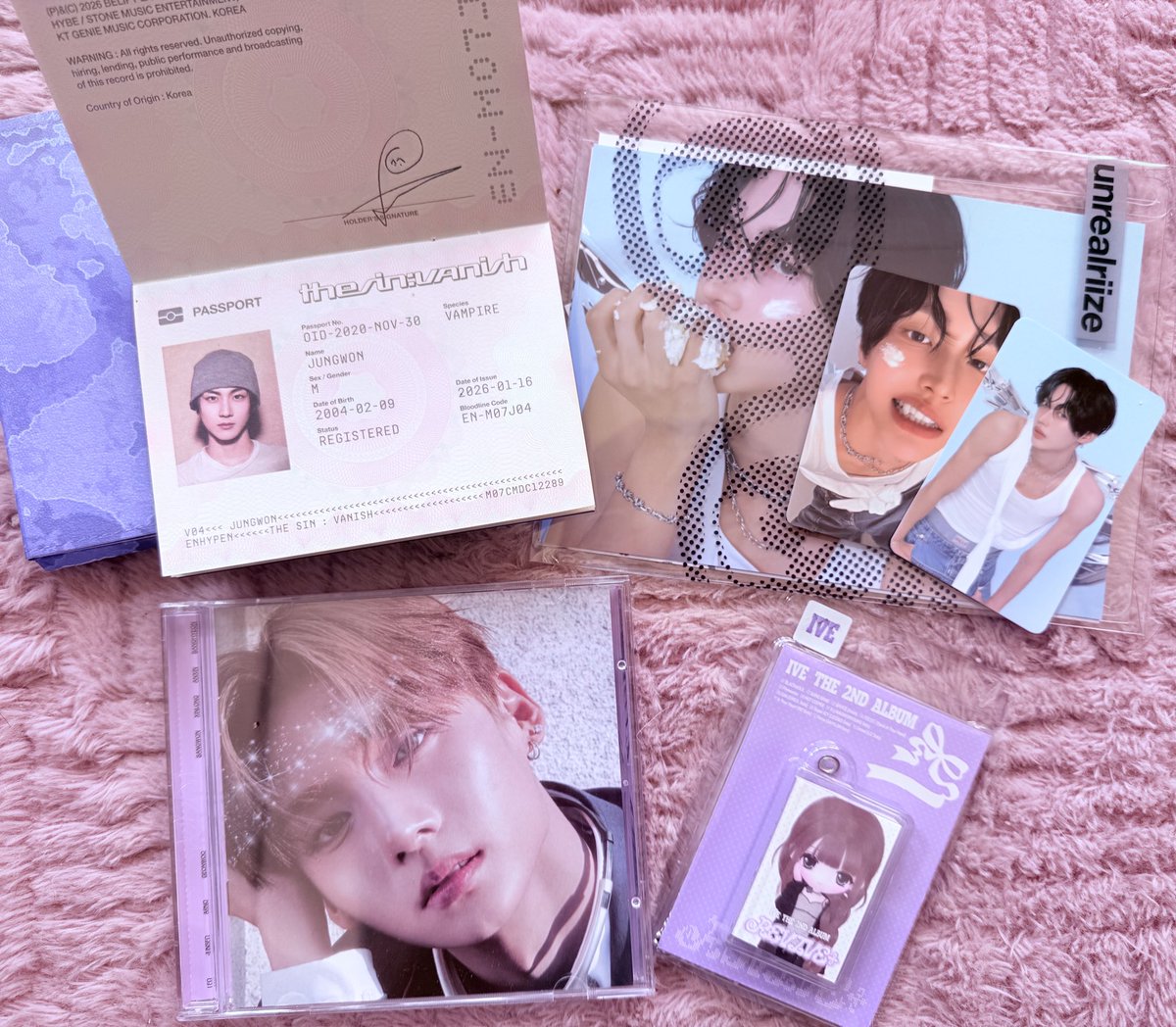 𑣲 evie tweet media