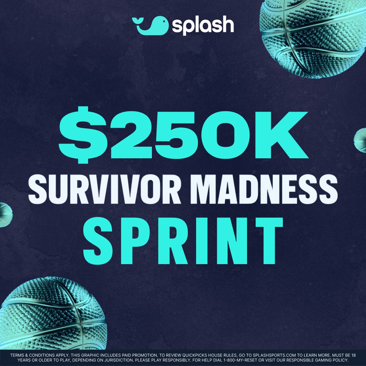 Splash Sports tweet media