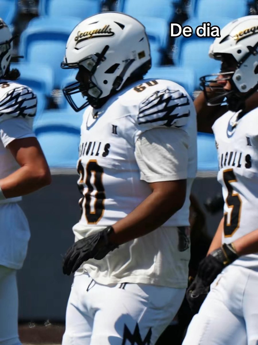 Alexander Pavia tweet media