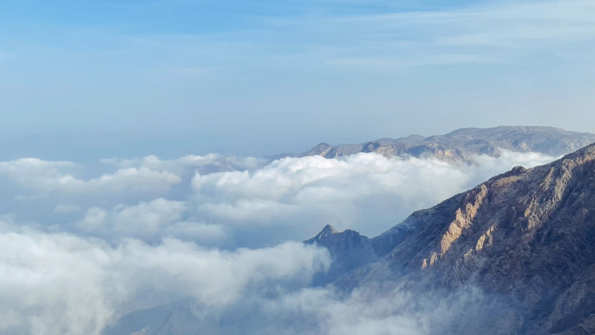 رُبى tweet media