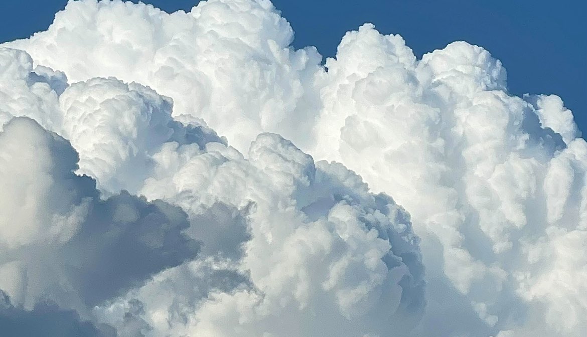 رُبى tweet media