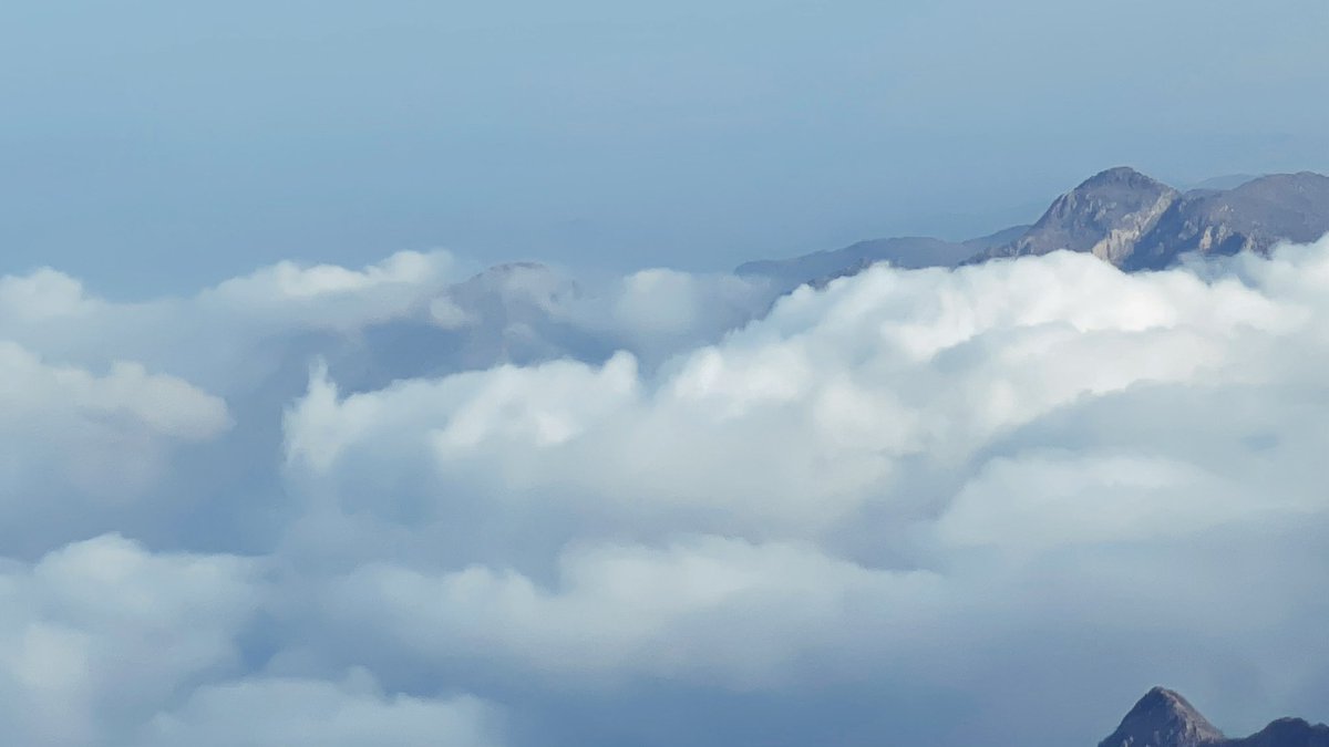 رُبى tweet media