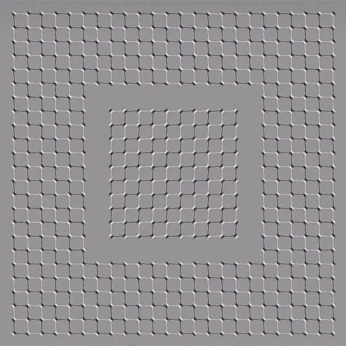 On dirait que ça bouge ?.....voirplus