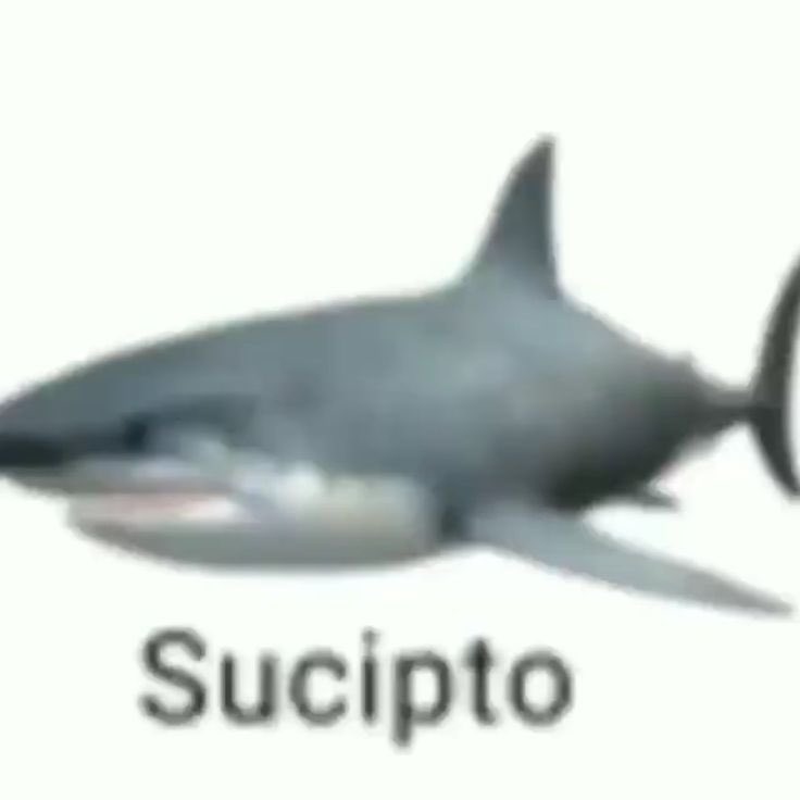 cosmic girl tweet media