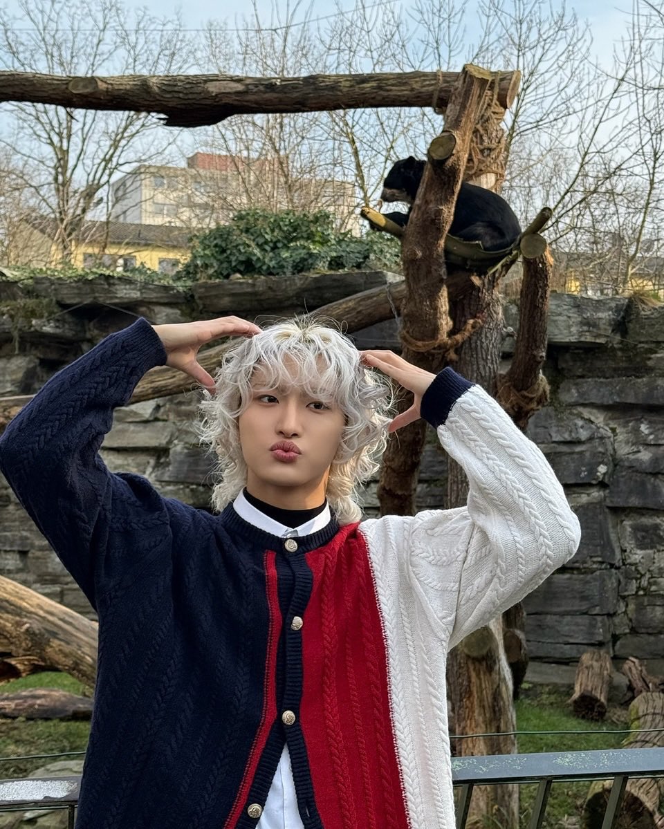 🌲🦌🍄 tweet media