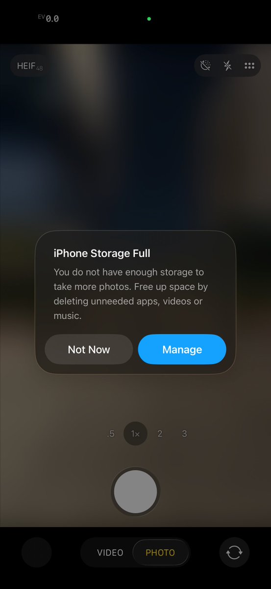 Noah Cat tweet media