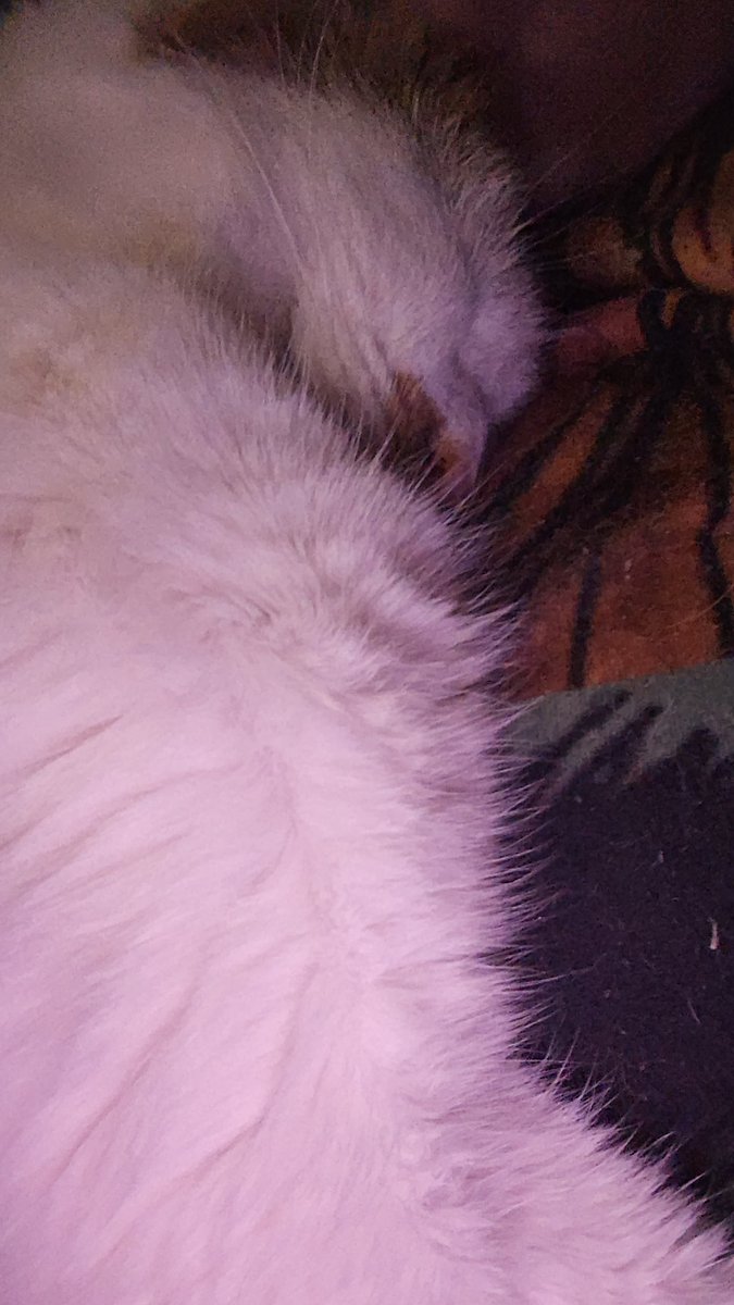 Така собі Мігель tweet media