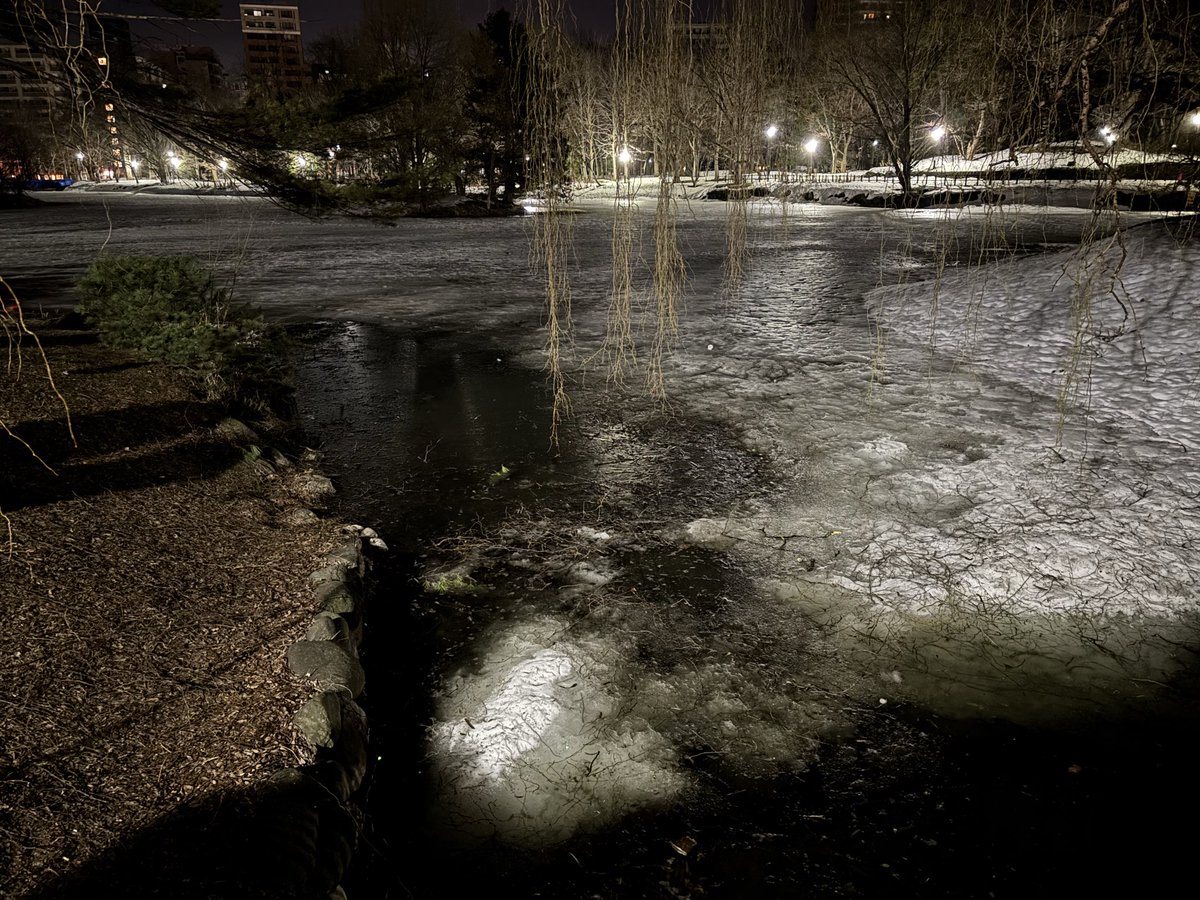 ドラ浪 tweet media