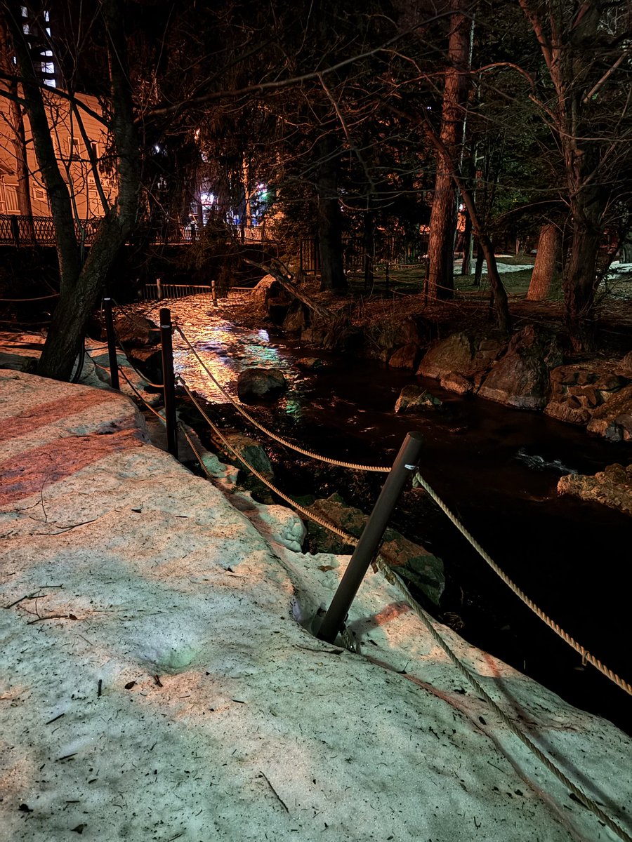 ドラ浪 tweet media