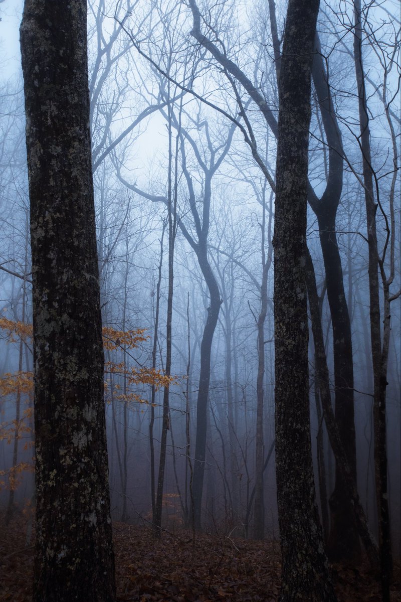 Hunter Rayl | Photographer tweet media