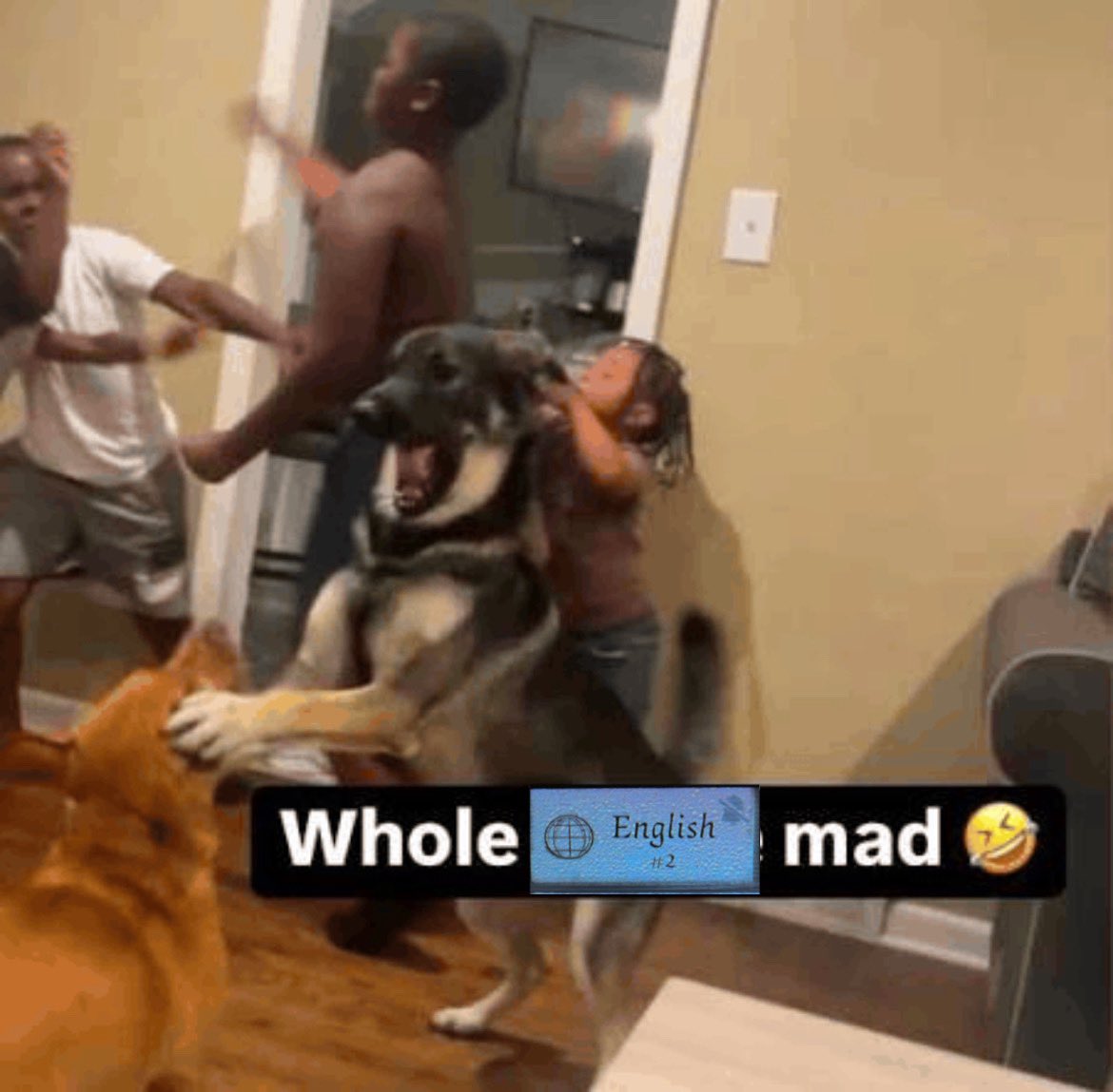 Isaiah | Louis is not ready tweet media