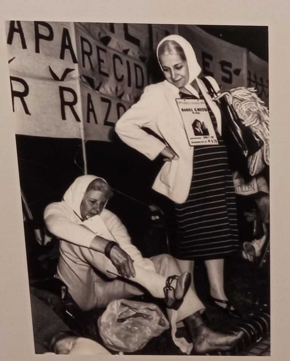 roberto taboada tweet media