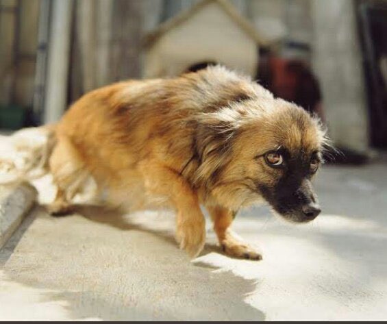 Mashudi on TL.                 In Mutuzo's
                                                 DM. 😂