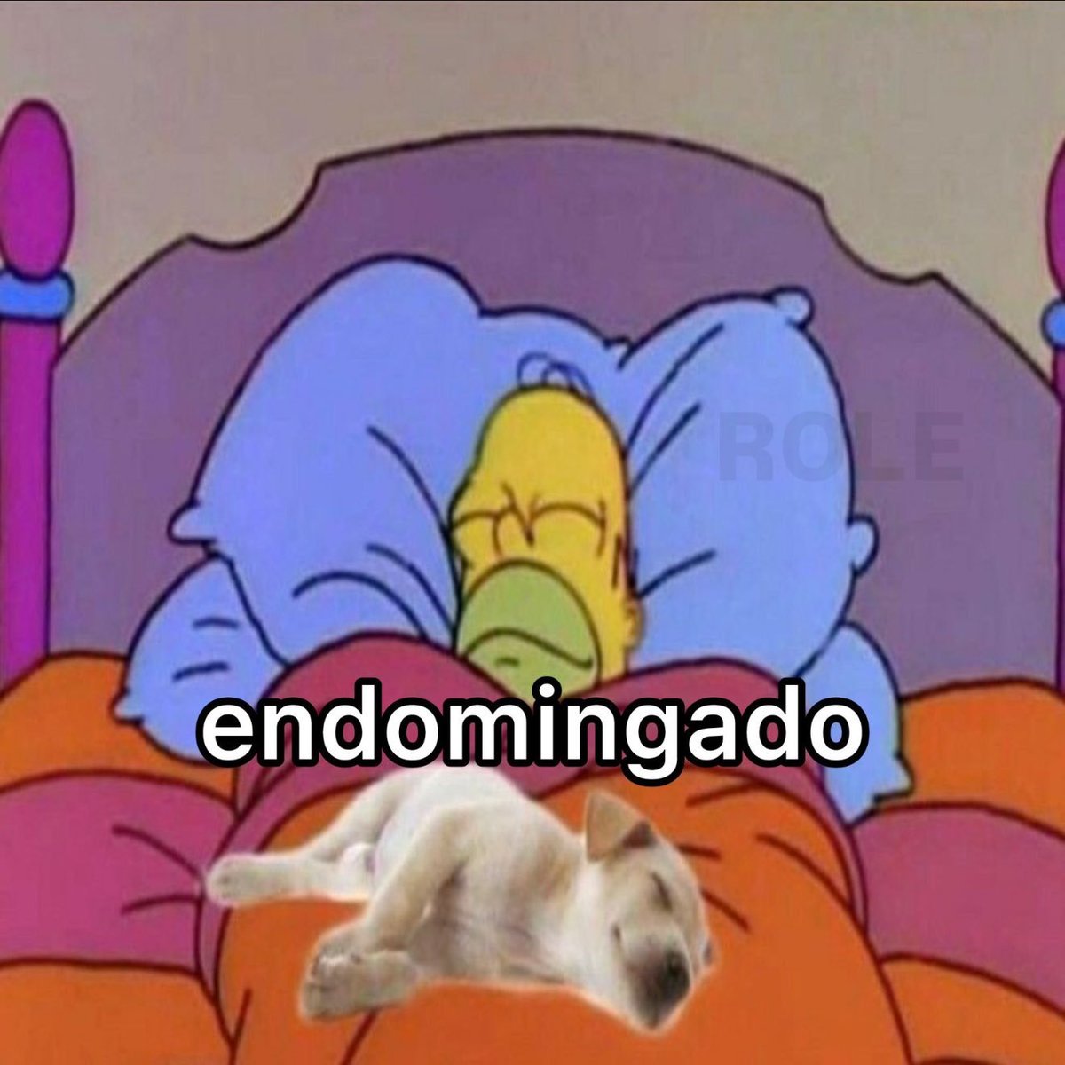 Trouxinha (@euovitinn) on Twitter photo 