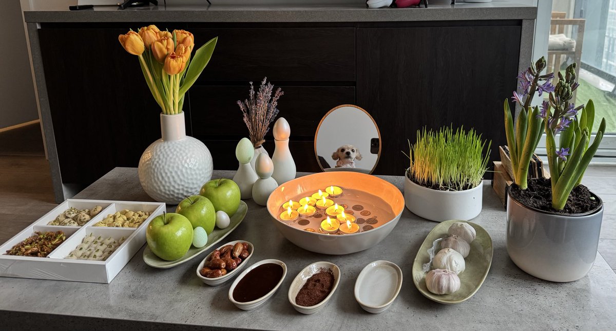 🇮🇷 فْلوگِروِل tweet media