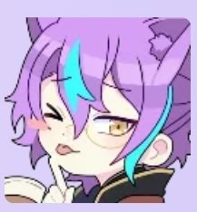 sol #teamevawolf tweet media