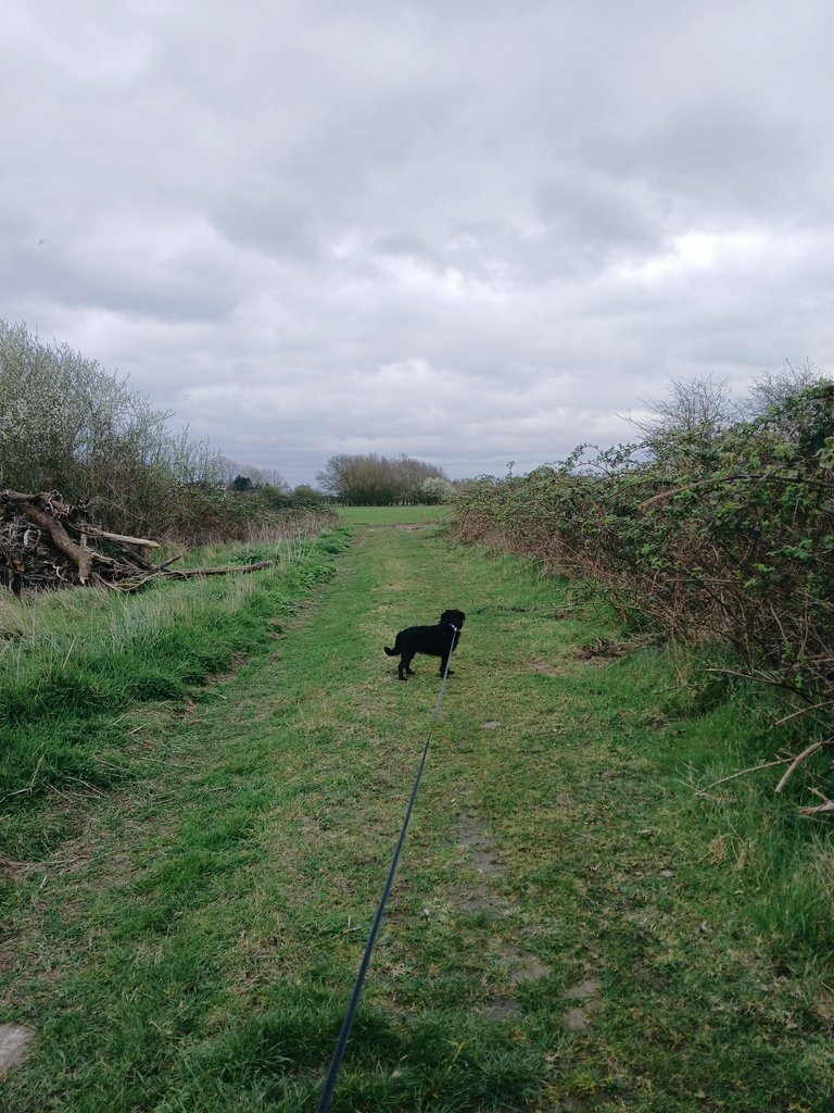 valentine 🍀 tweet media