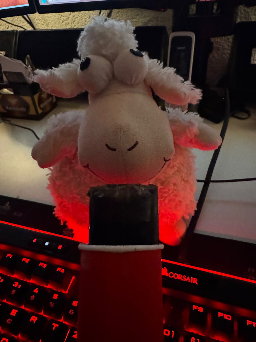 Bonzai /Timo tweet media