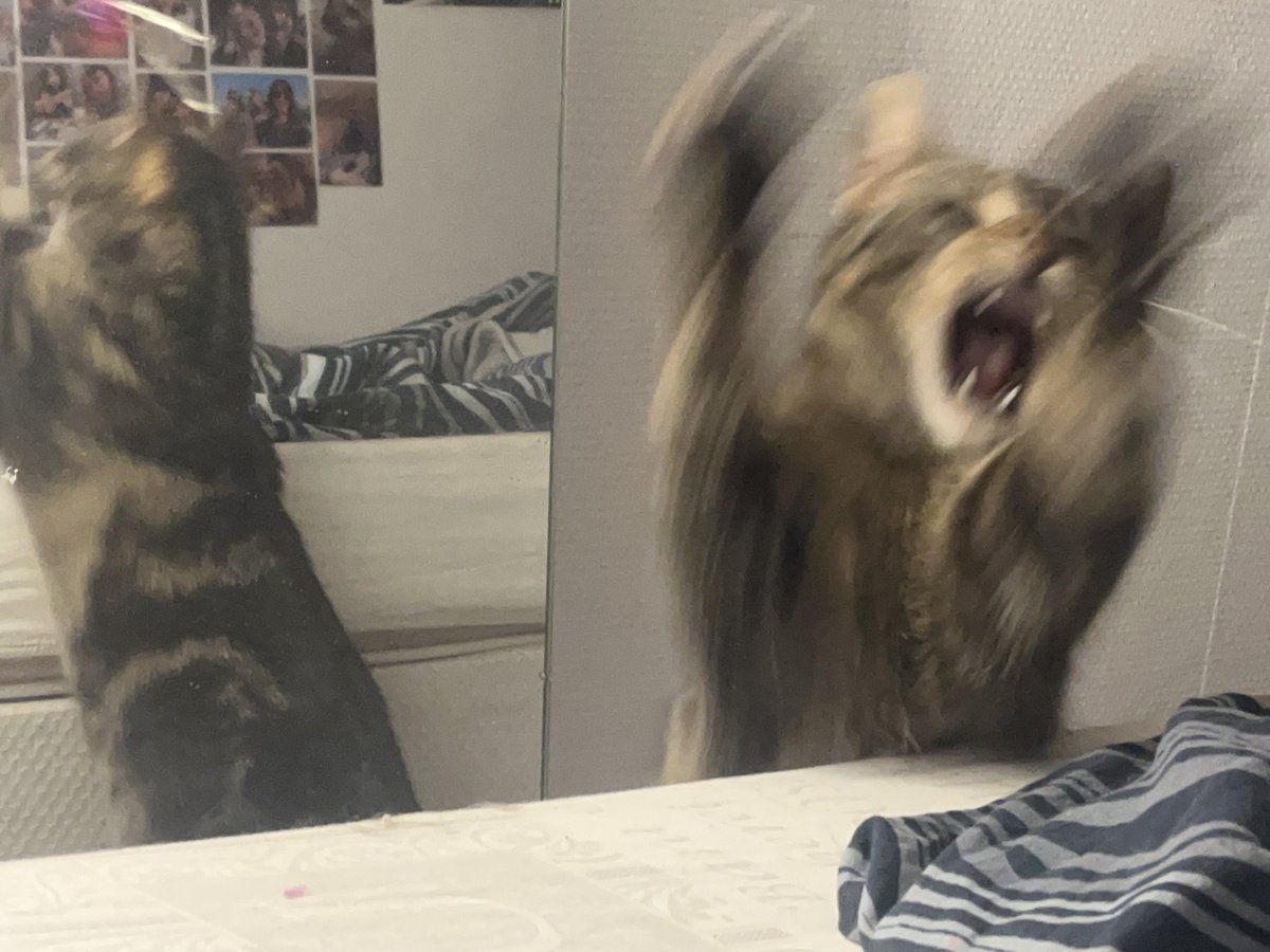 sam :) martin era tweet media