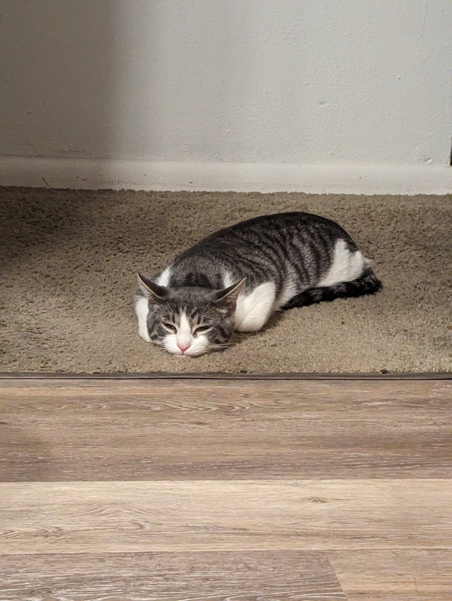 Skrungus and Daisy Incorporated (ft Smoky) tweet media