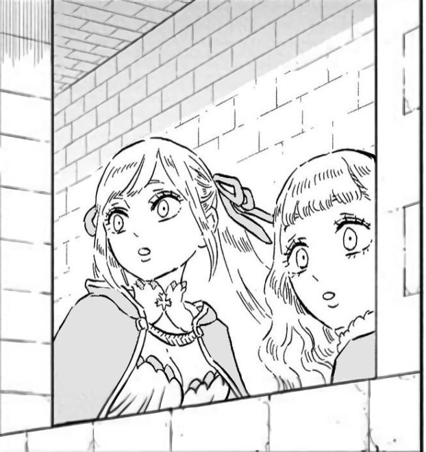 PandoraKuru's tweet photo. Noelle &amp; Mimosa coloring💧🌿

#BlackClover
#NoelleSilva
#MimosaVermillion https://t.co/pbofCjh6RO