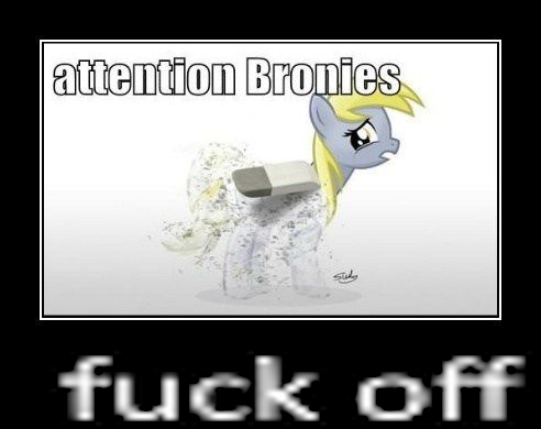 Pilford Squadron Updates🦈 tweet media