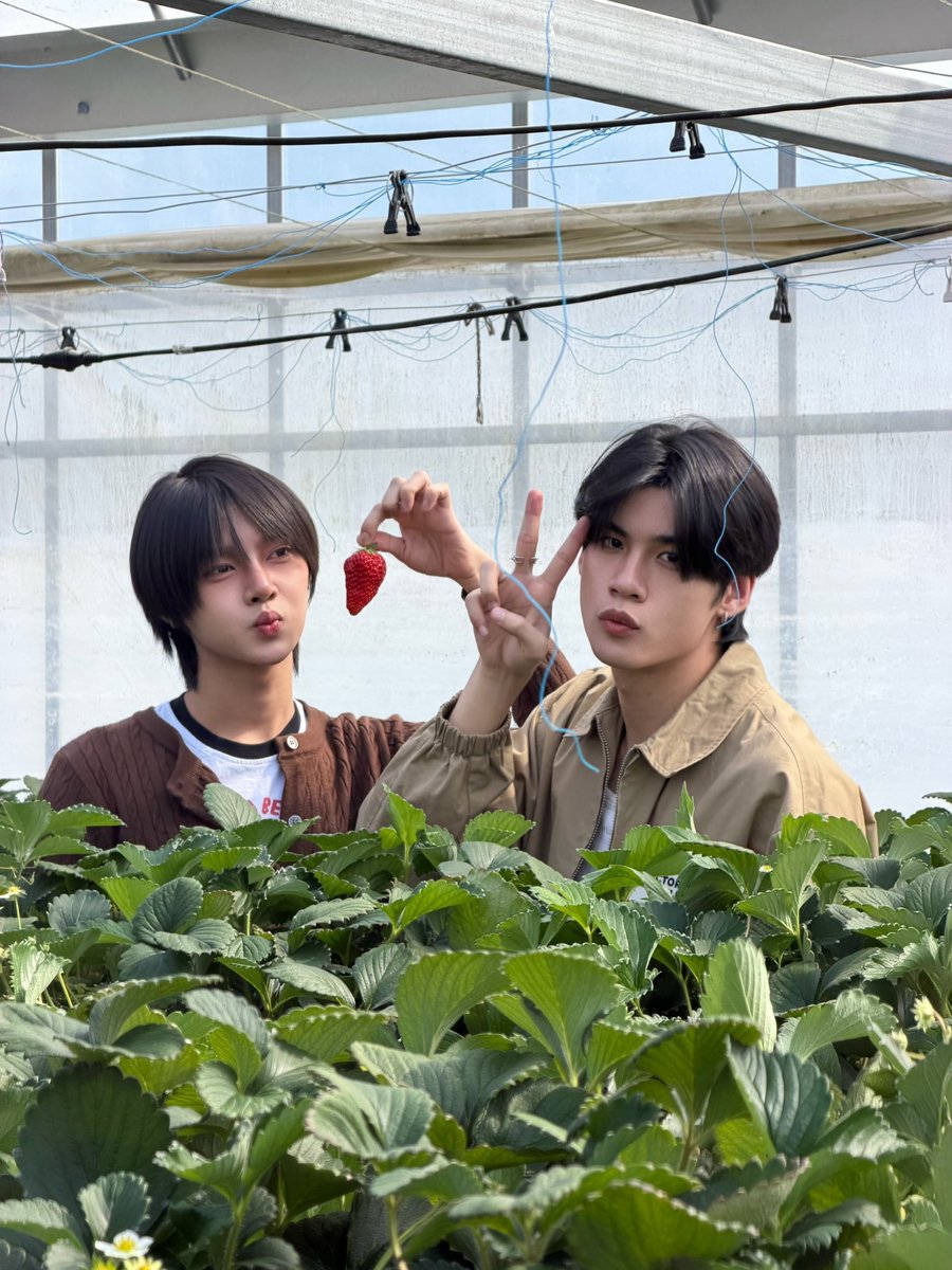 star ⋆⭒˚.⋆ tweet media