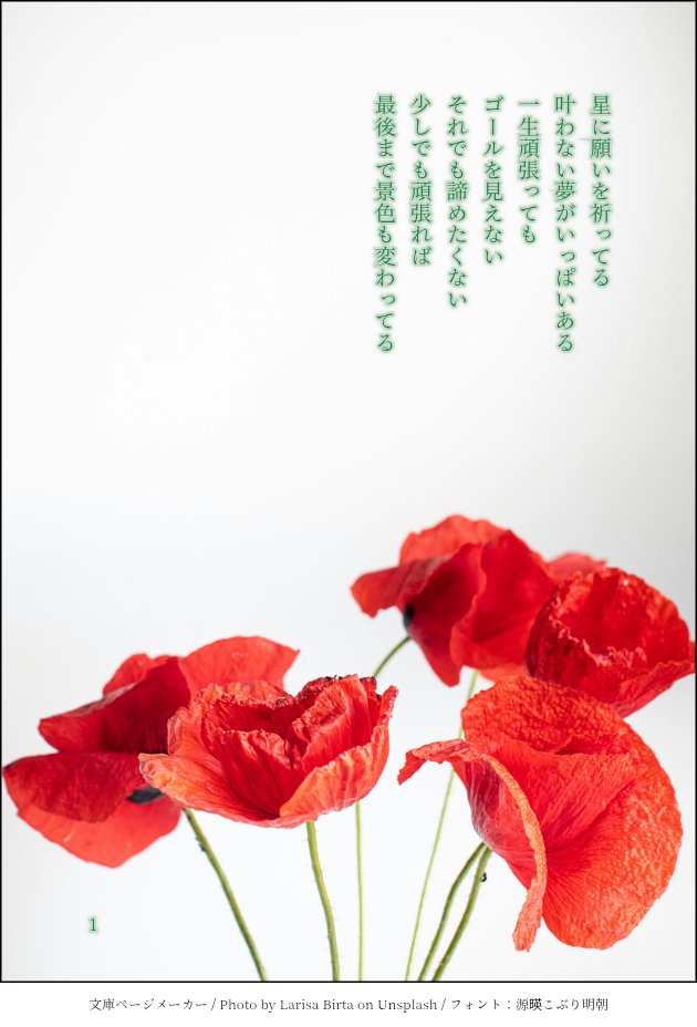 加藤莉子（莉子の詩） tweet media