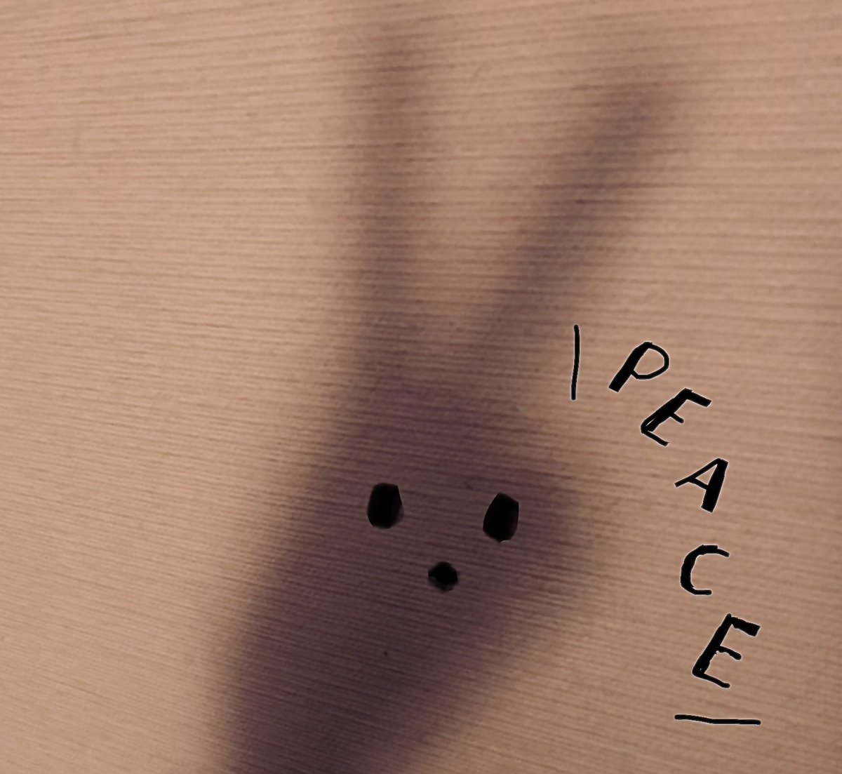 大塚　砂織 tweet media