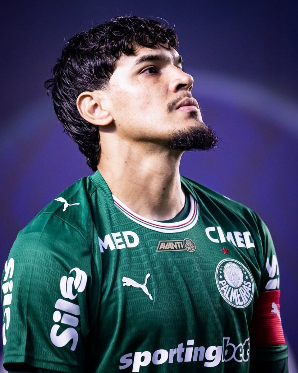 Planeta do Palmeiras 🌎 tweet media