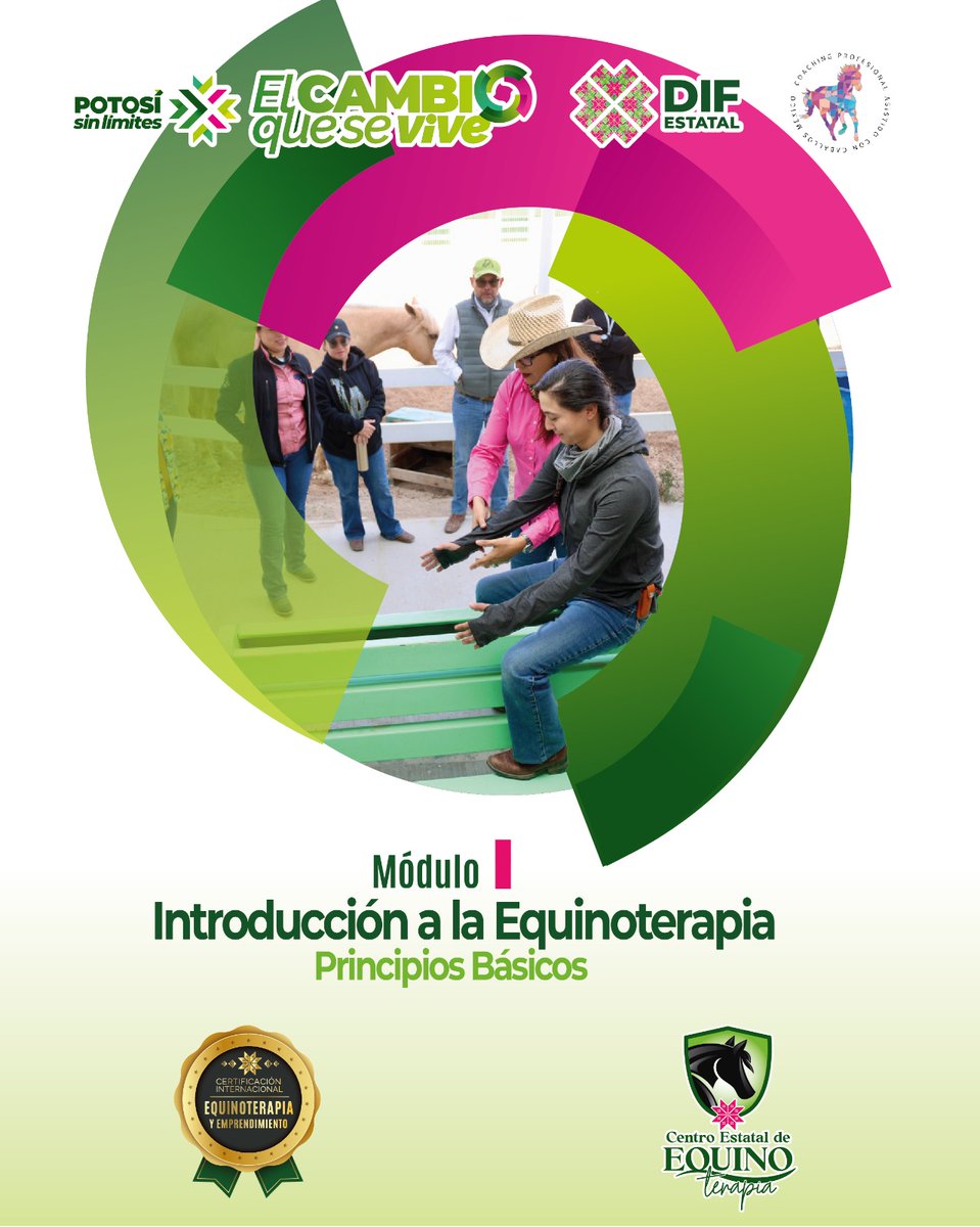 DIF Estatal SLP tweet media