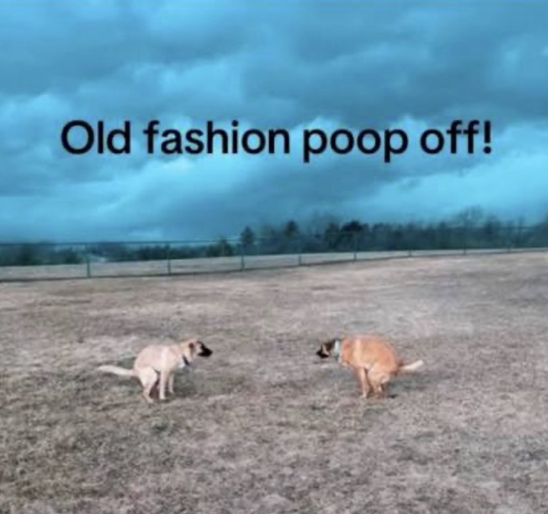 Michael K tweet media