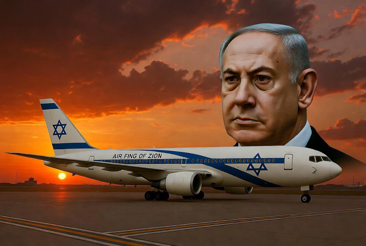 Camille Moscow 🇷🇺 🌿 ☦️ tweet media