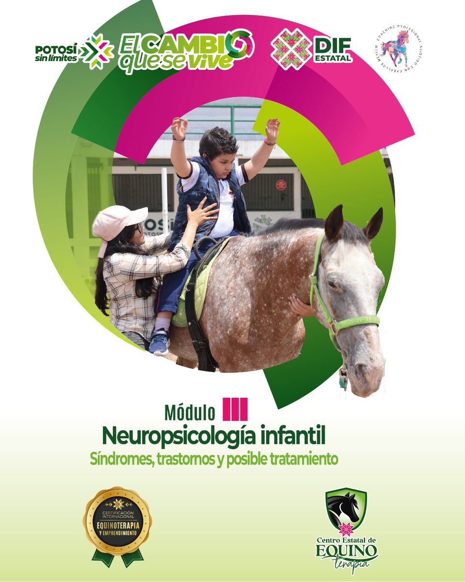 DIF Estatal SLP tweet media