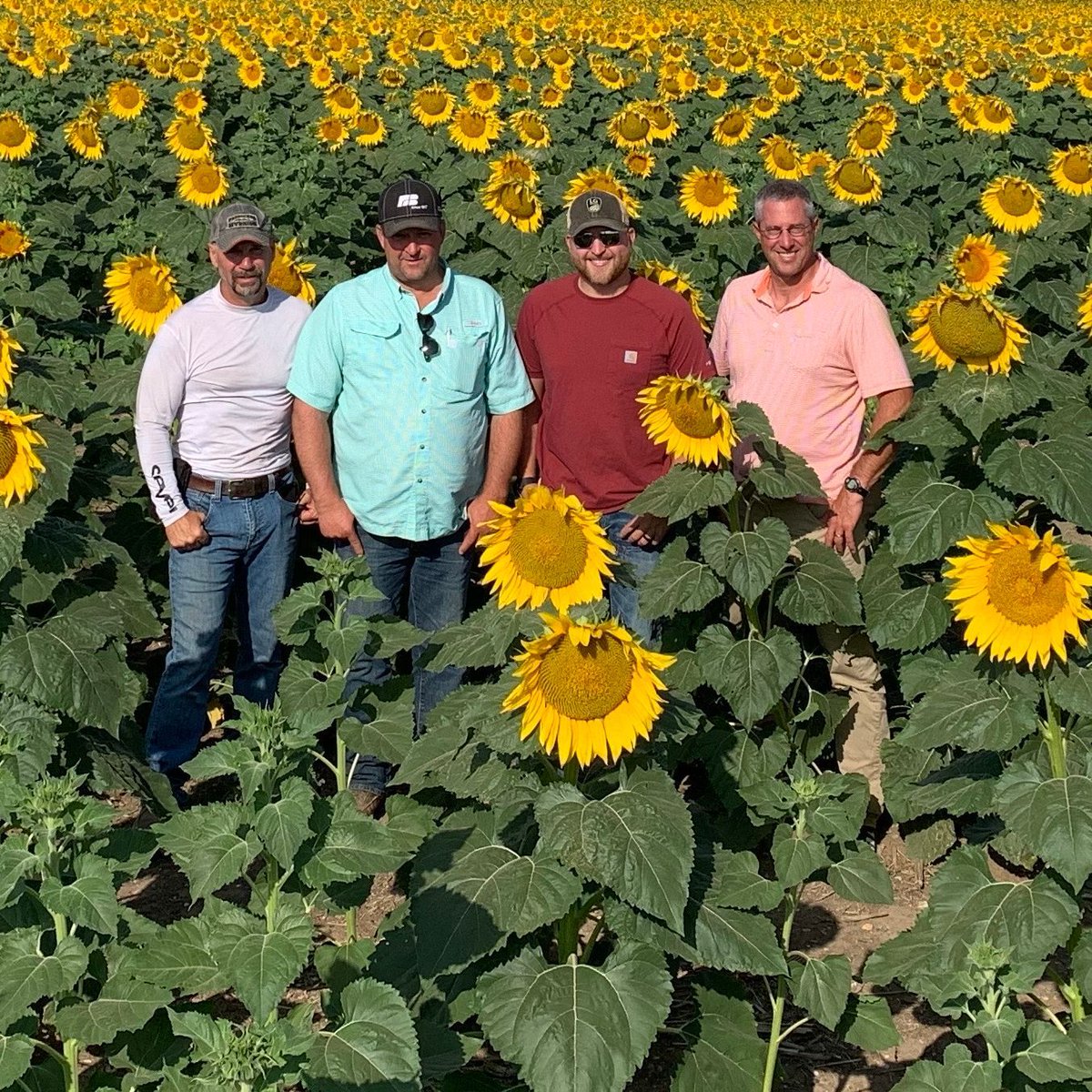 Patrick Knight tweet media