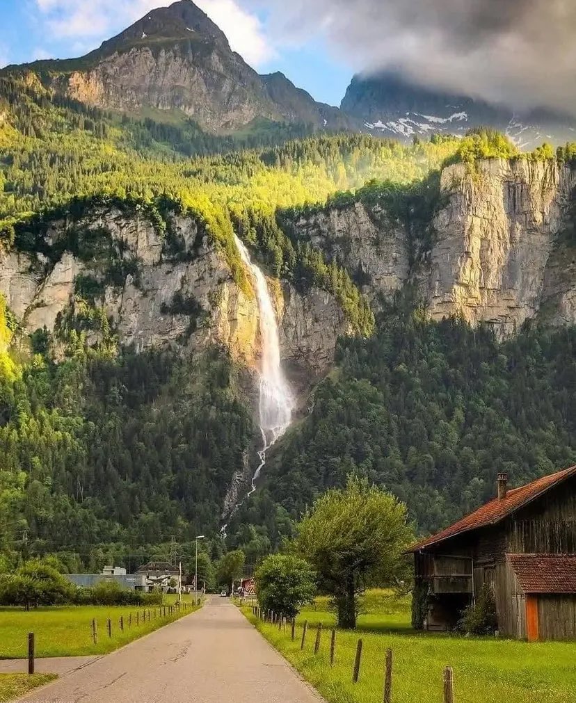 صلفة tweet media