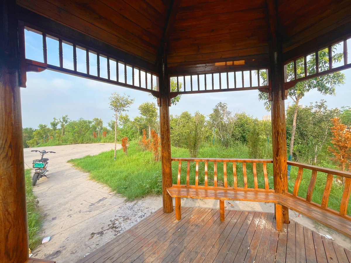 Catherine Cortez tweet media