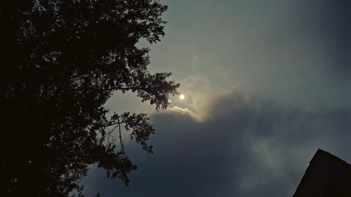 AbdulAziz Albutti. 🌸🌼 tweet media