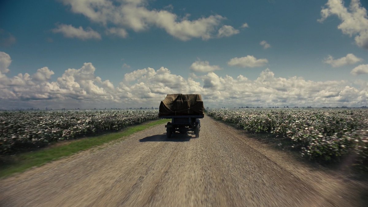 AbdulAziz Albutti. 🌸🌼 tweet media