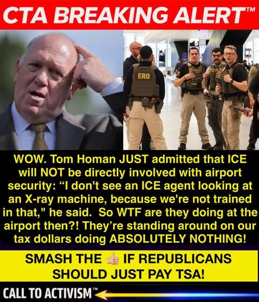 elseagee 🟧 🌊 🌊 🌊🎨 🎸 tweet media