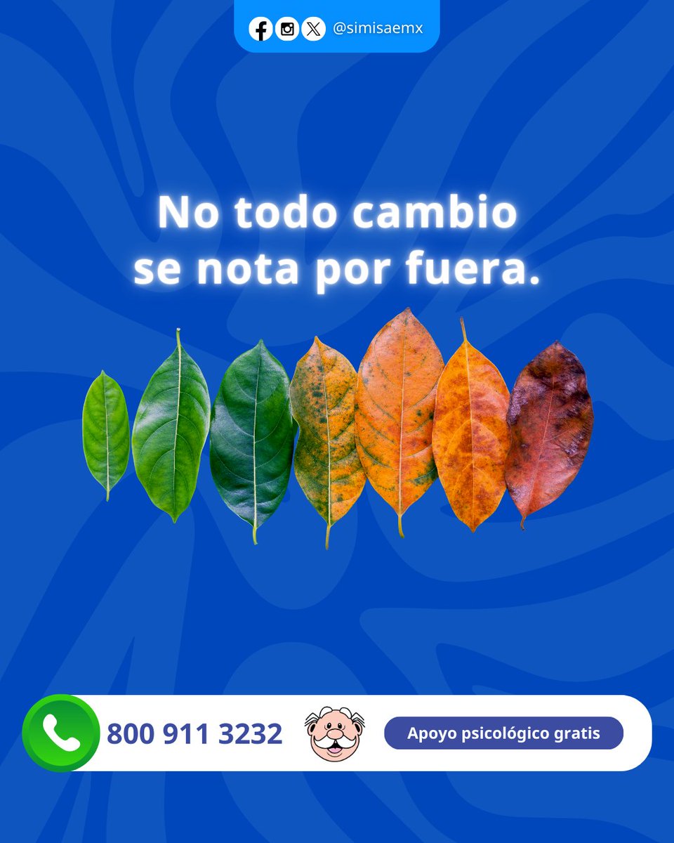 simisaemx's tweet photo. Hay cambios silenciosos que nadie ve, pero cuestan mucho.

Reconocerlos también es validarte. 🧠

#SIMISAE #SaludEmocional #CambiosReales https://t.co/nLa80lxCK8
