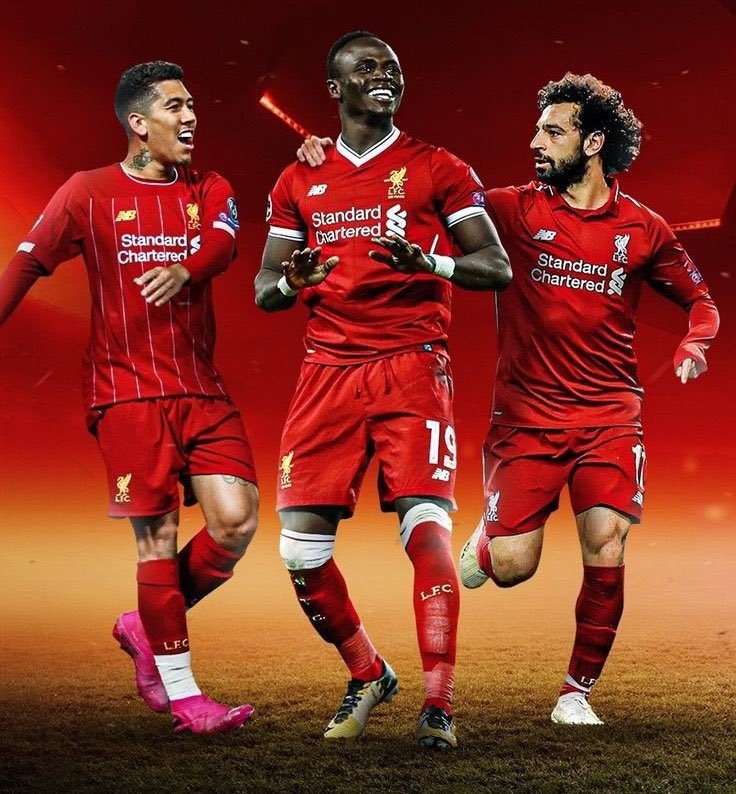 Braden (Fan) 🐦🔥 tweet media