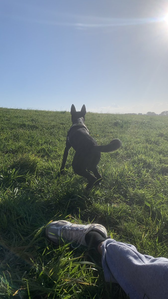 ken kaneki trasmerano tweet media