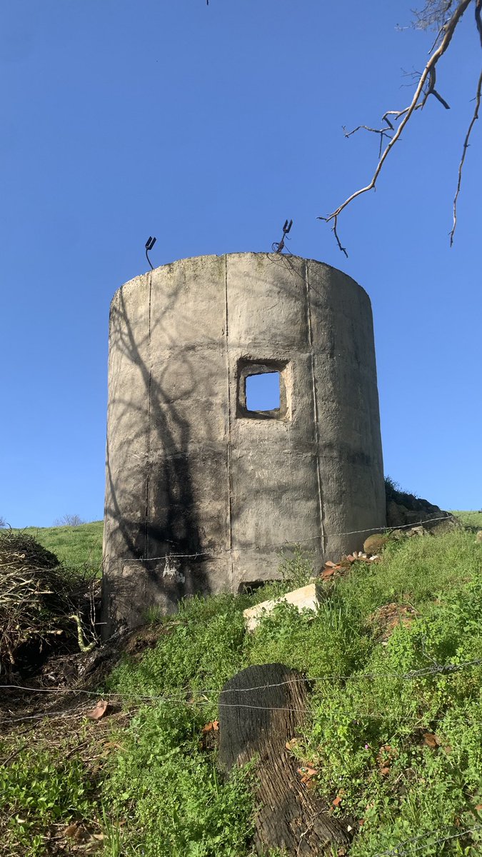 ken kaneki trasmerano tweet media