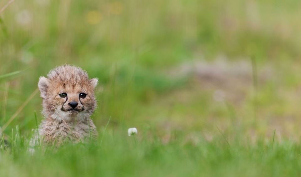 𝟑𝟏𝟑 𝟐𝟒𝟖 𝟑𝟏𝟕 - 𝟓𝟏 tweet media