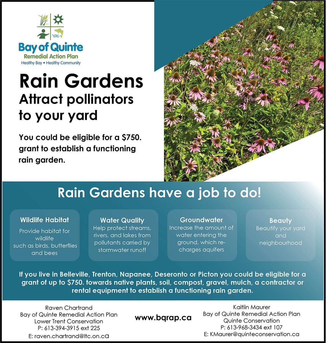 Bay of Quinte RAP tweet media