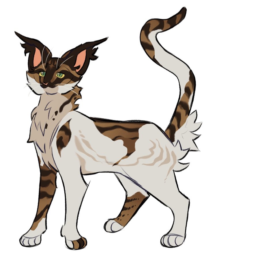 ✶Carnelian✶ tweet media