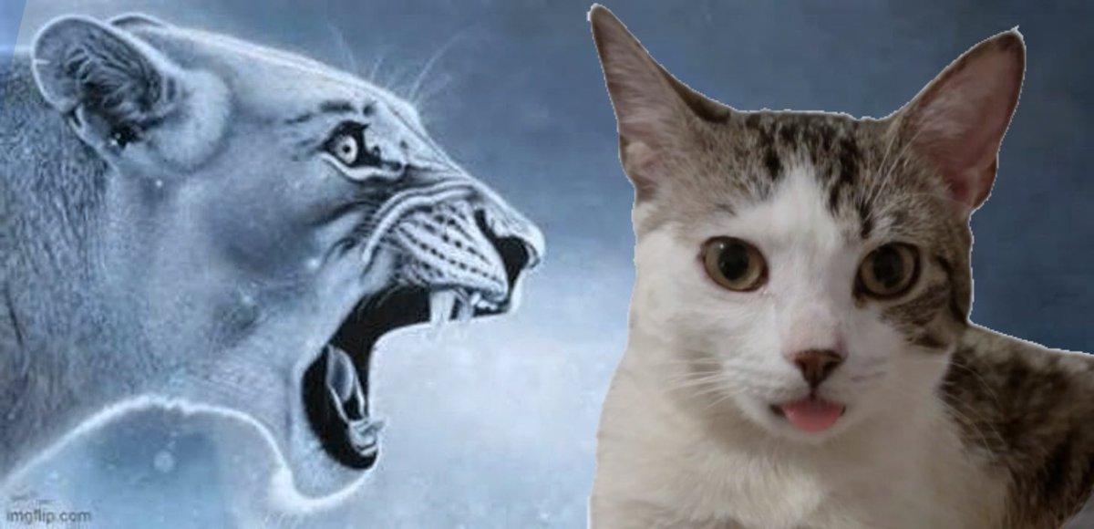 Fortnite🐾 tweet media