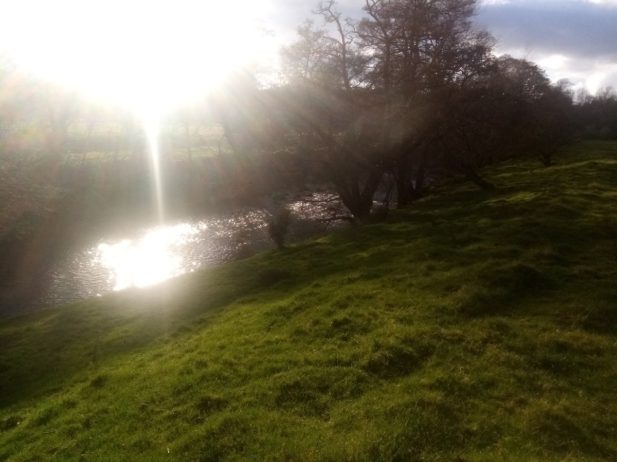 MikeKirkup1's tweet photo. One of those days in England... a Sunday stroll along the River Aln... https://t.co/DJ6xZDfSJK