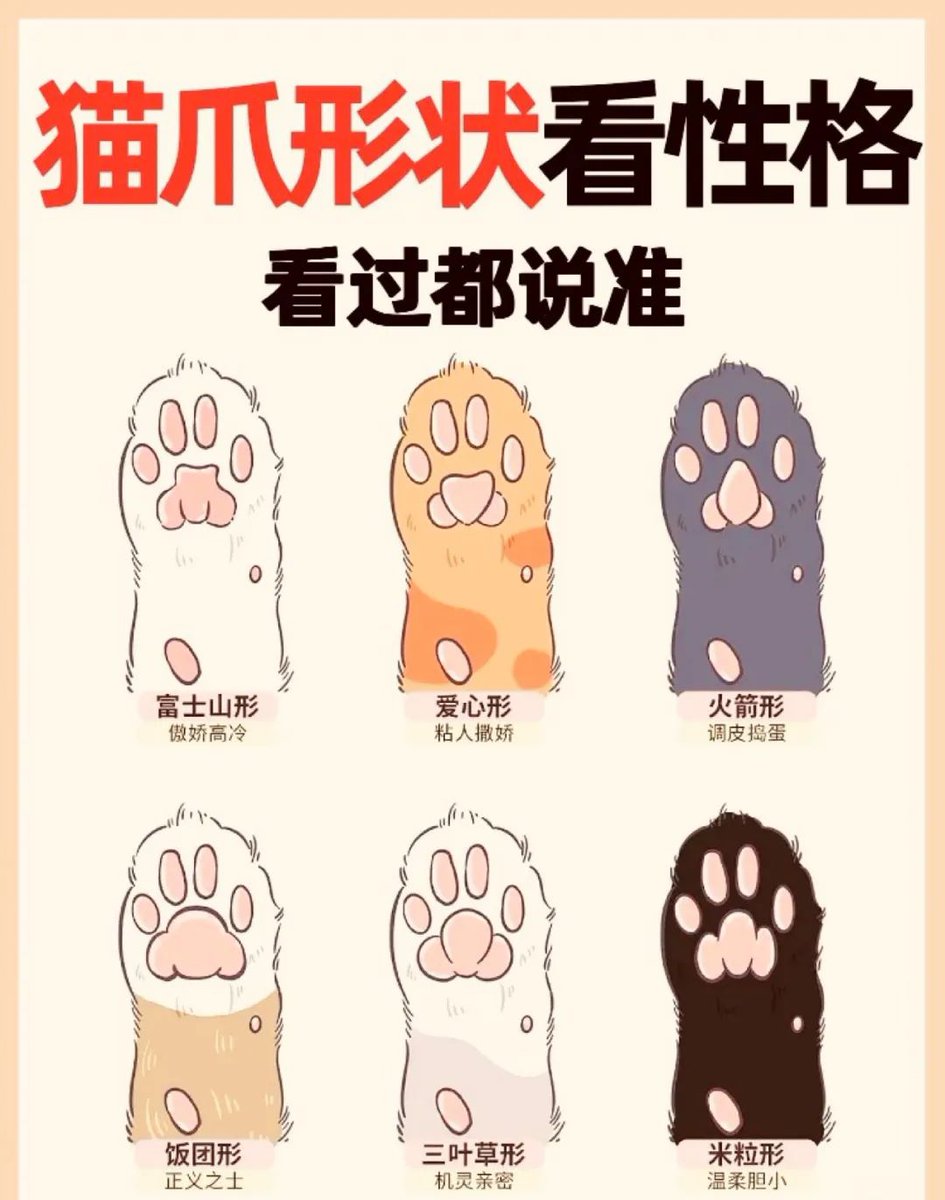 yamira pacheco tweet media